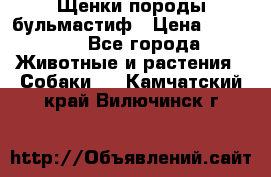 Щенки породы бульмастиф › Цена ­ 25 000 - Все города Животные и растения » Собаки   . Камчатский край,Вилючинск г.